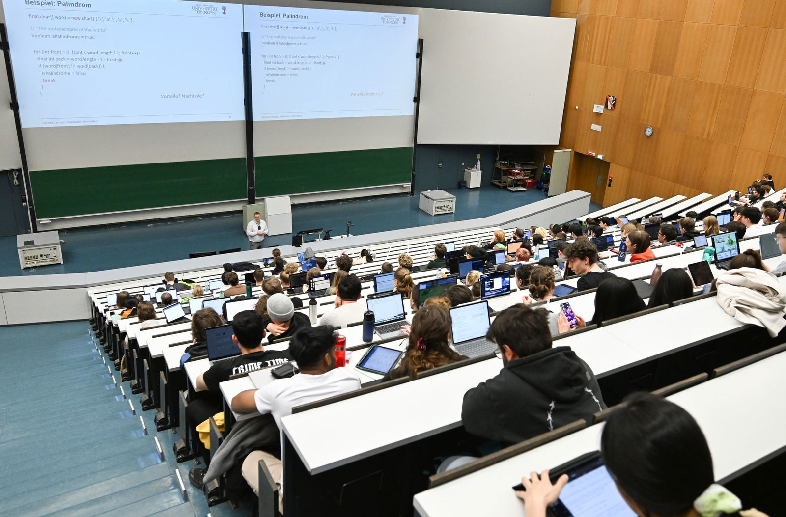 Seltene Spinnen wurden im Keller eines Hörsaalzentrums in Tübingen entdeckt. (Symbolfoto)