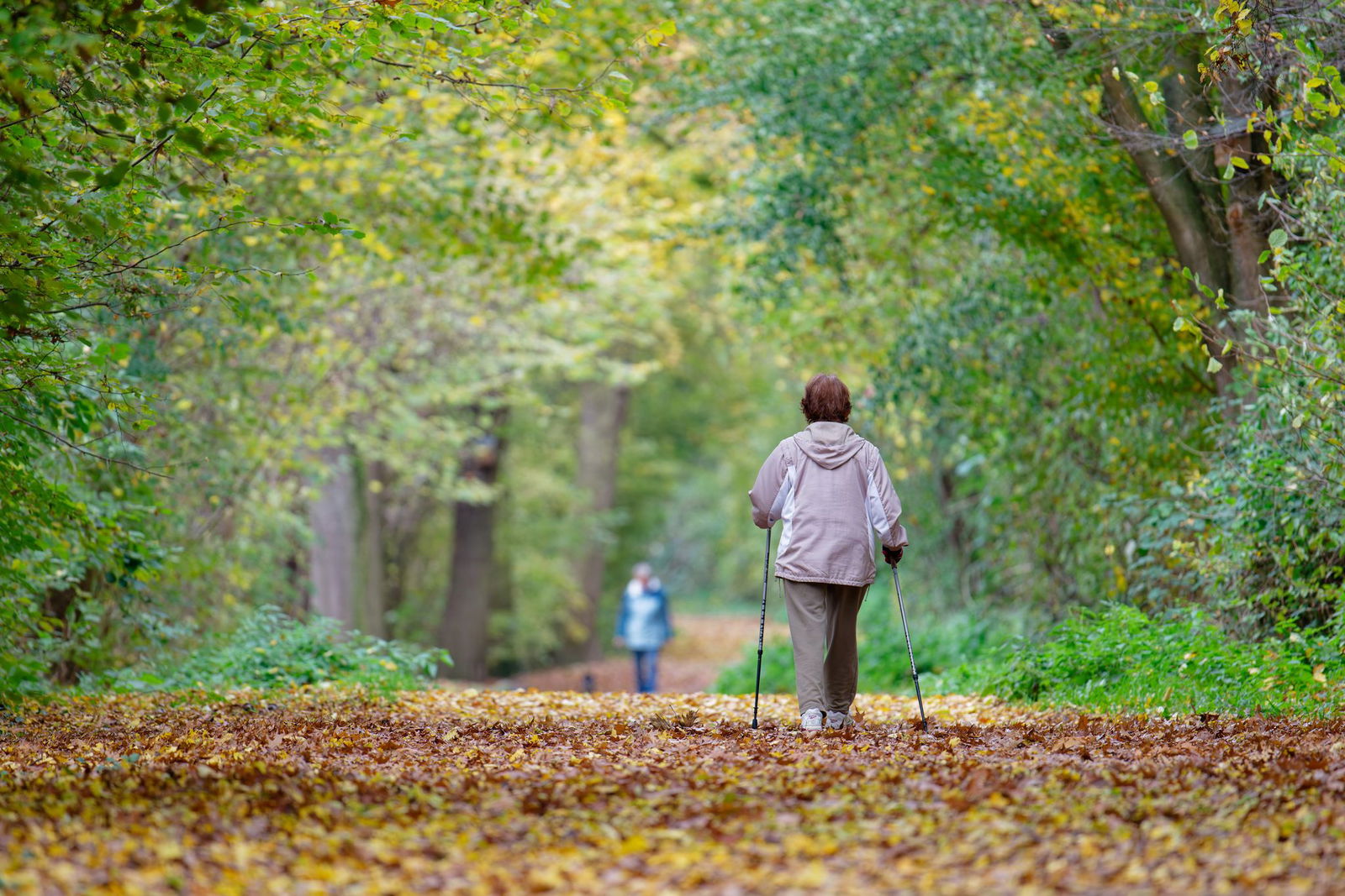Sonne statt Schauer: Der Herbst meint es gut mit Baden-Württemberg. Also raus aus dem Haus!