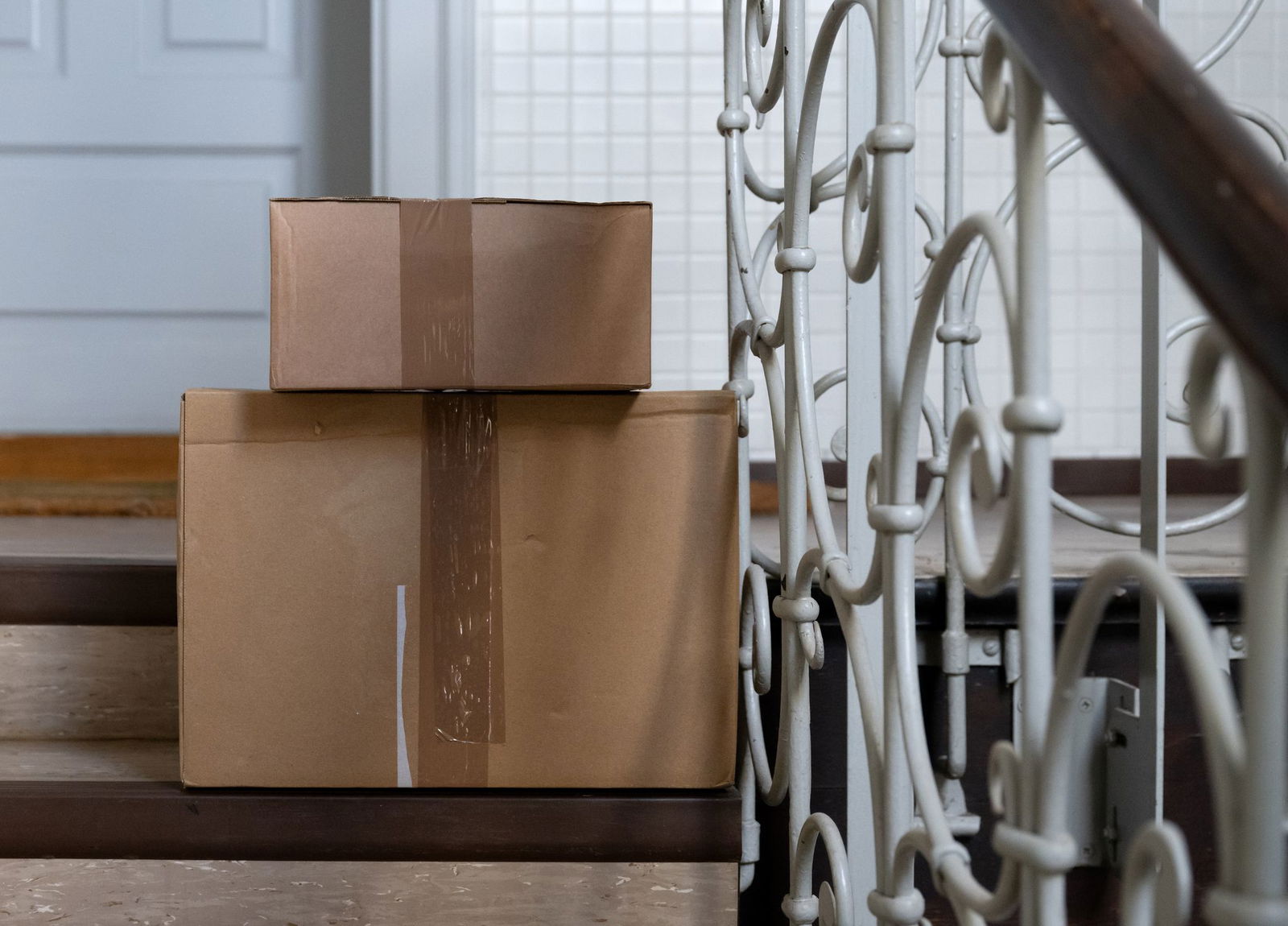 Die Katze hatte sich nach bisherigen Erkenntnissen unbemerkt in den Karton gelegt. (Symbolbild)