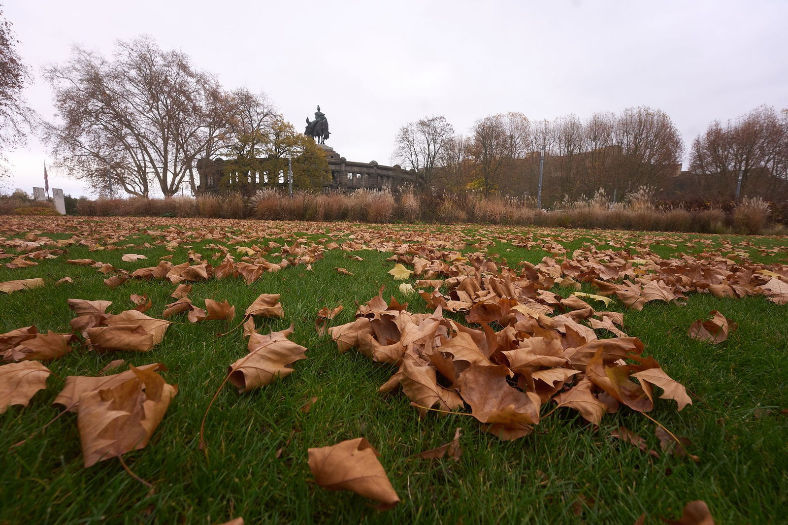 Viel Grau und immer wieder etwas Regen erwarten die Menschen in Rheinland-Pfalz und Saarland in den nächsten Tagen. (Symbolbild)