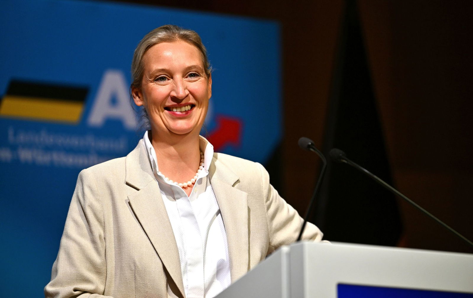Jahrelang tobte im Landesverband ein Machtkampf zwischen den Anhängern und Gegnern von Co-Bundesparteichefin Alice Weidel.