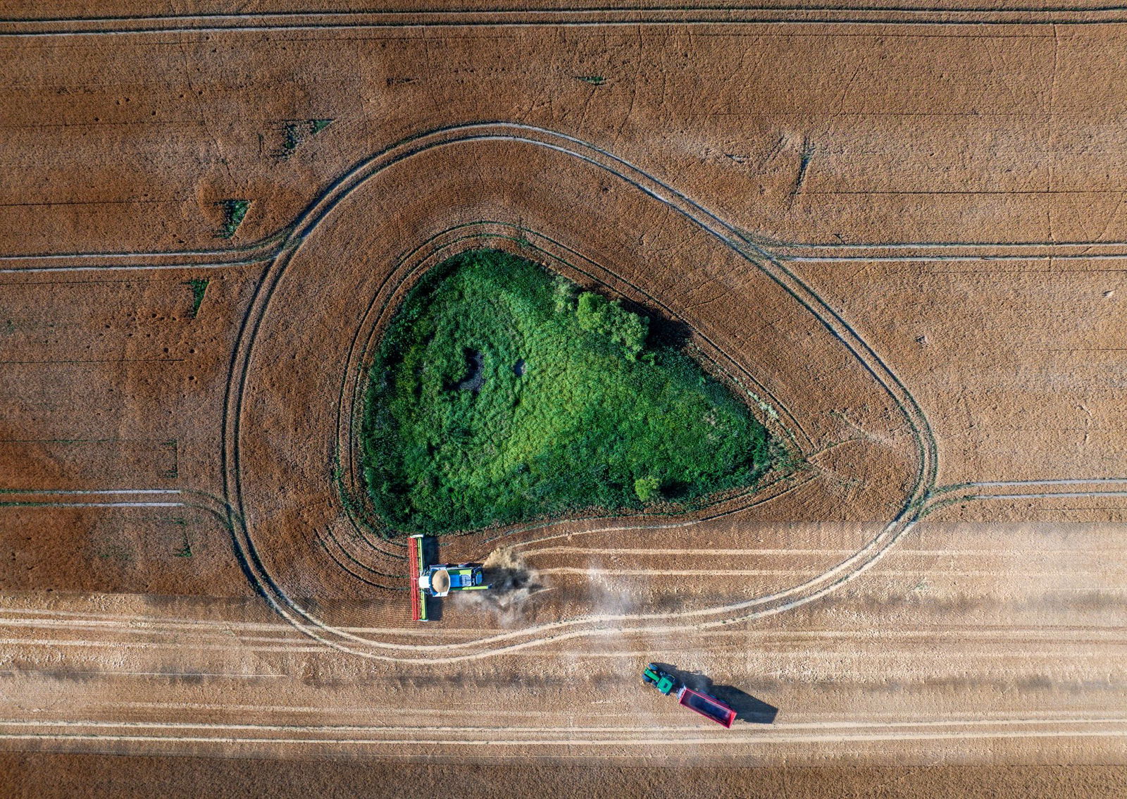 Die Agrarwirtschaft befürchtet, dass Landwirte künftig weniger EU-Geld bekommen. (Archivbild) 