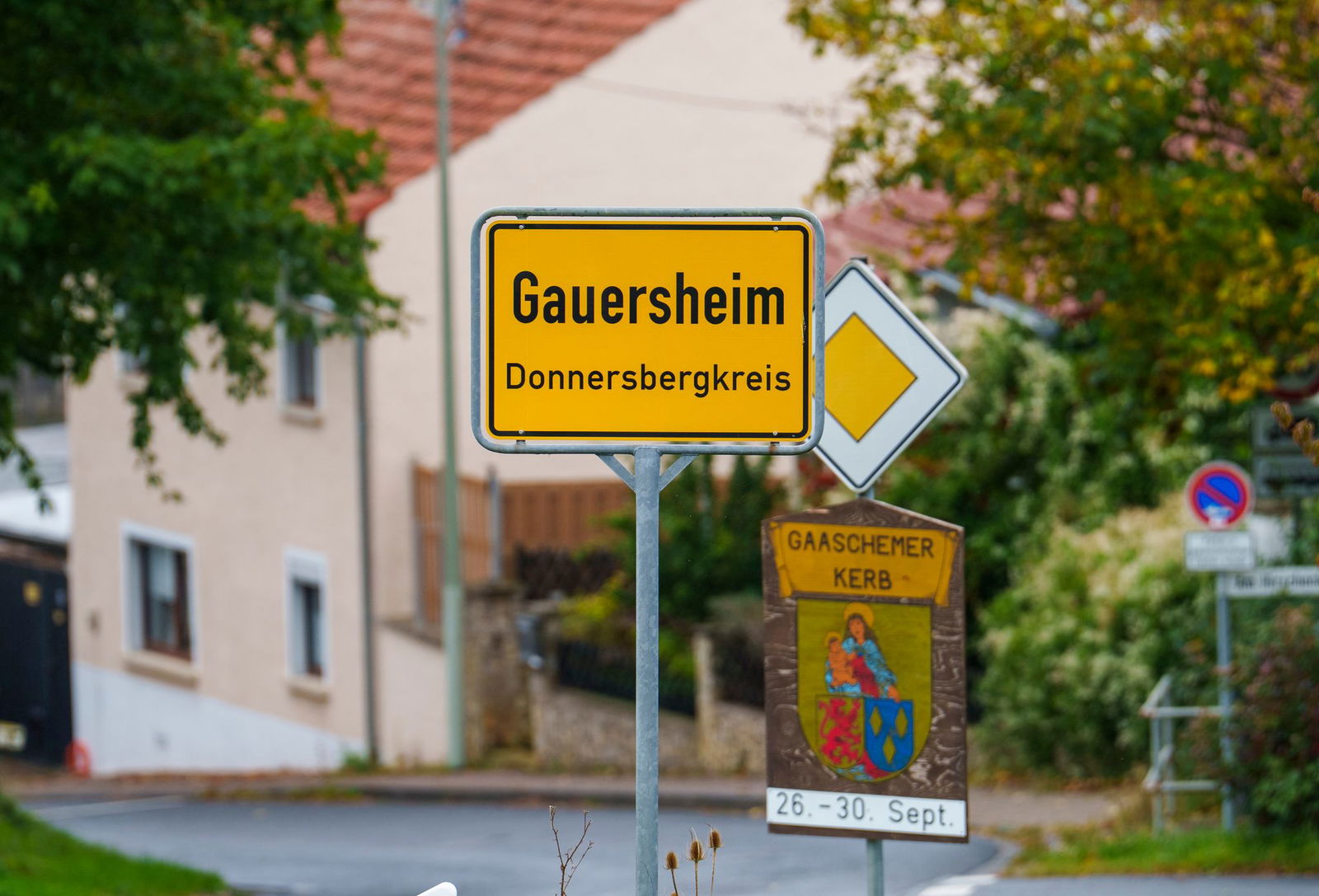 Die Vorkommnisse in Gauersheim werden weiter aufgearbeitet. (Archivbild)