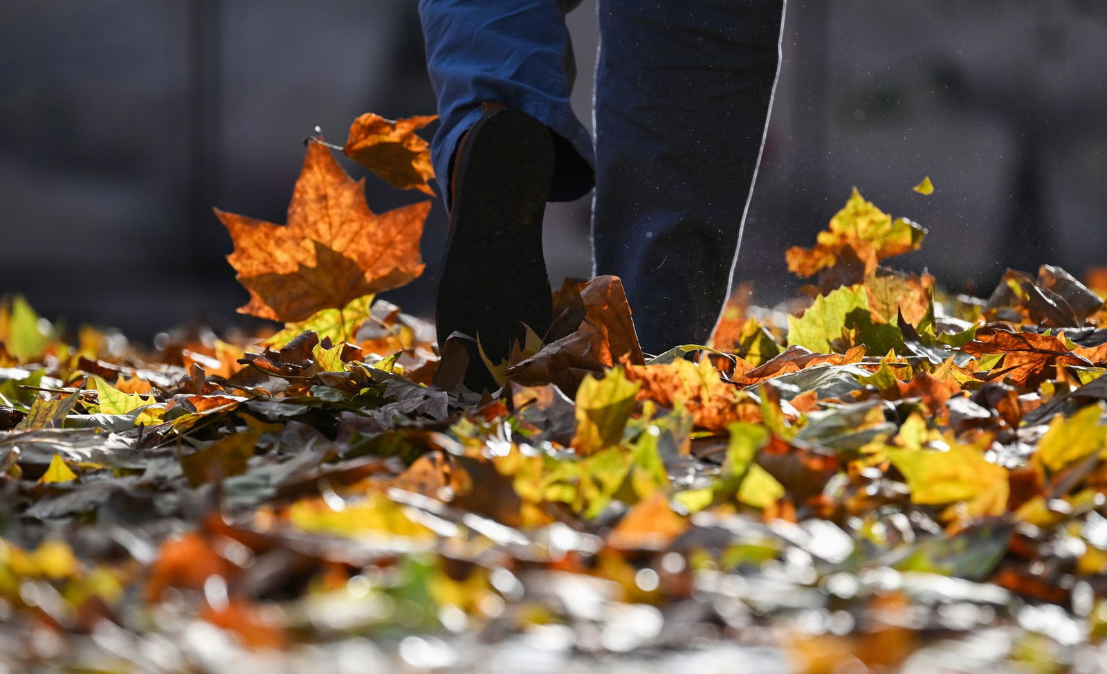 Kommende Woche erwartet der Deutsche Wetterdienst bis zu elf Grad und wieder mehr Sonne in Rheinland-Pfalz und im Saarland. (Symbolbild)