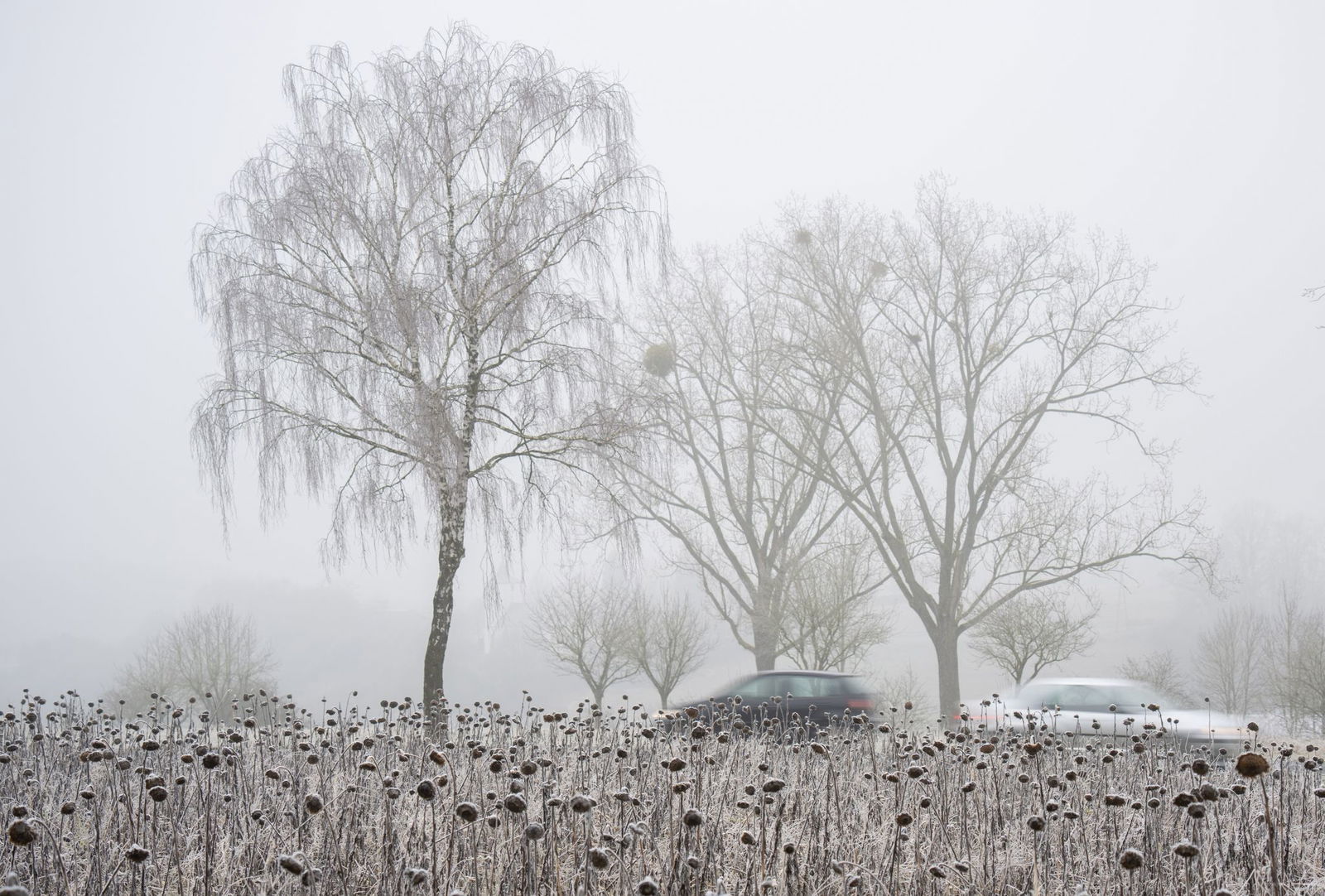 Autofahrer in Rheinland-Pfalz und Saarland erwarten ebenso im neuen Jahr winterliche Straßenverhältnisse. (Archivbild)