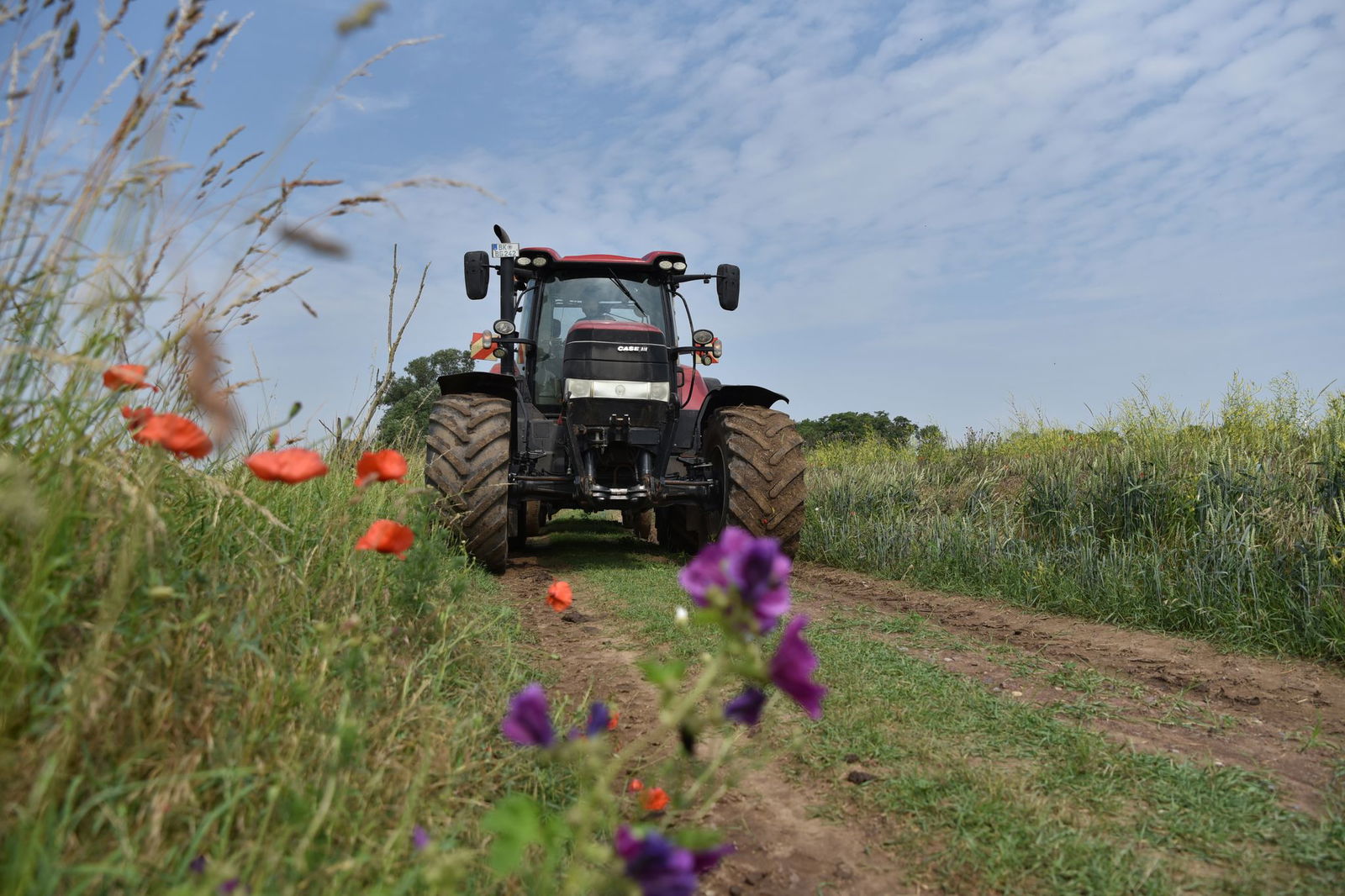 Das große Ziel ist es, den Artenschutz zu verbessern und diesen in Einklang zu bringen mit einer wettbewerbsfähigen Landwirtschaft. (Archivbild)