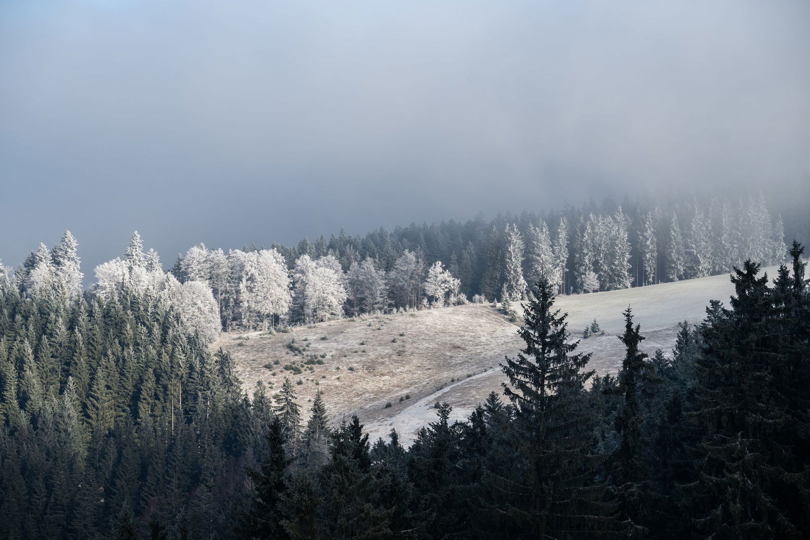 Es ist Winter in Baden-Württemberg. (Archivbild)