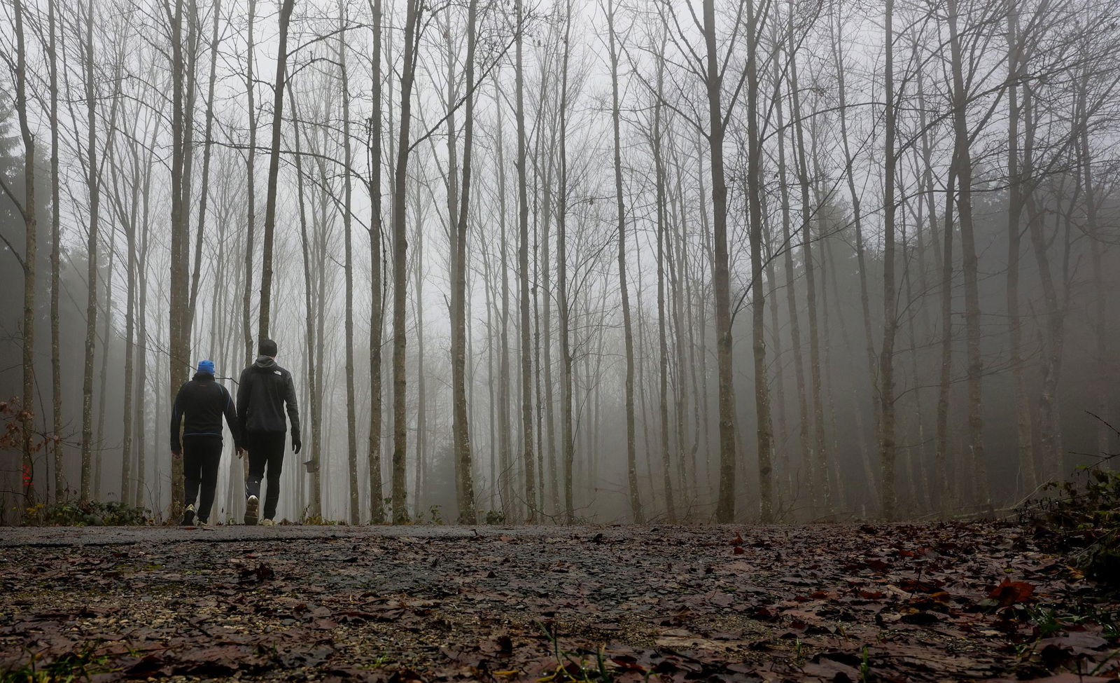 Baden-Württemberg startet wolkig ins Wochenende. Nebel prägt vielerorts das Bild.
