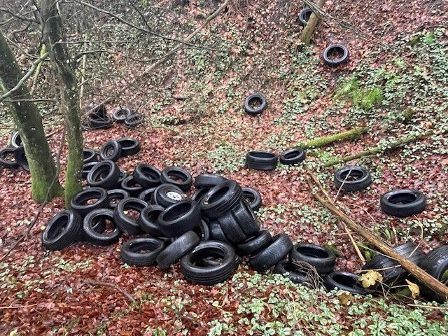 Altreifen in Wald entsorgt