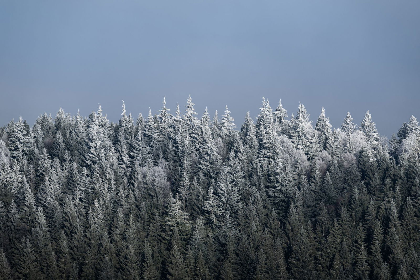 Wer bekommt die Sonne zu sehen? Das ist laut Deutschem Wetterdienst ein «Glücksspiel». (Archivbild)
