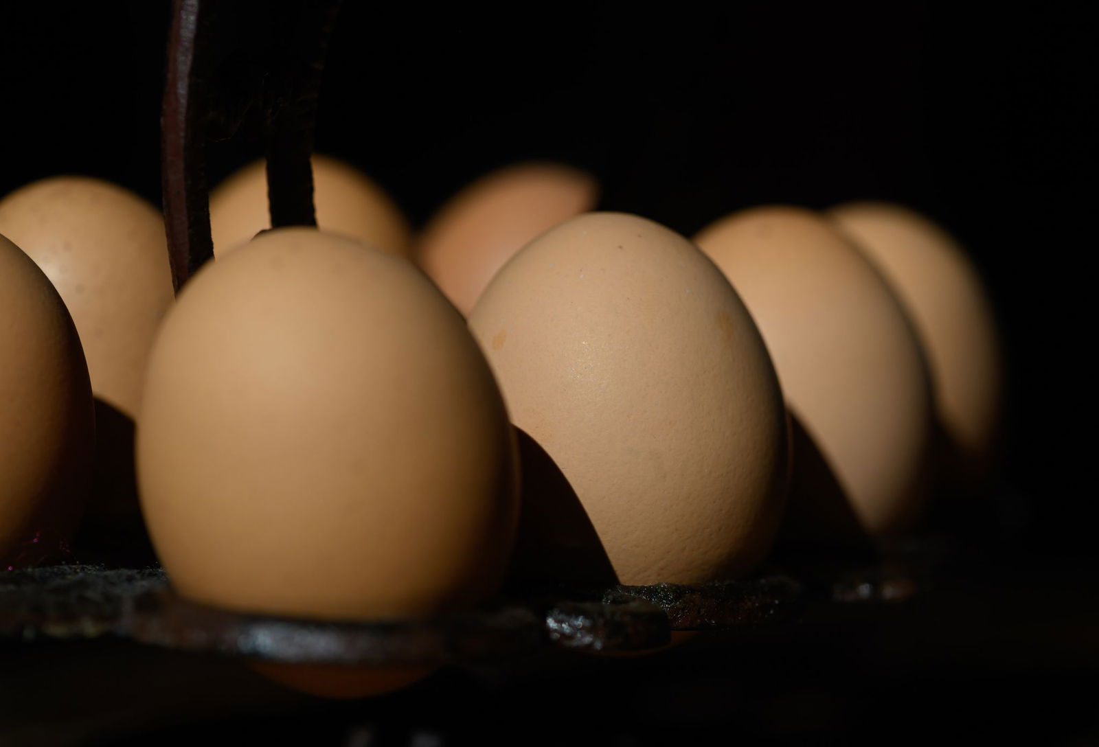 In Möglingen wurden auch Häuser mit Eiern beworfen. (Symbolbild)