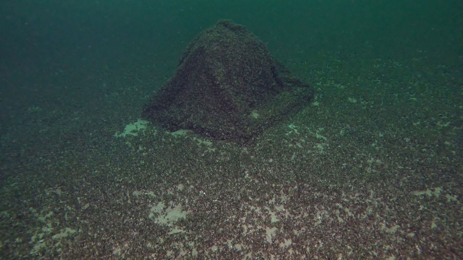 Die Kugel war auf den ersten Blick nicht zu erkennen.