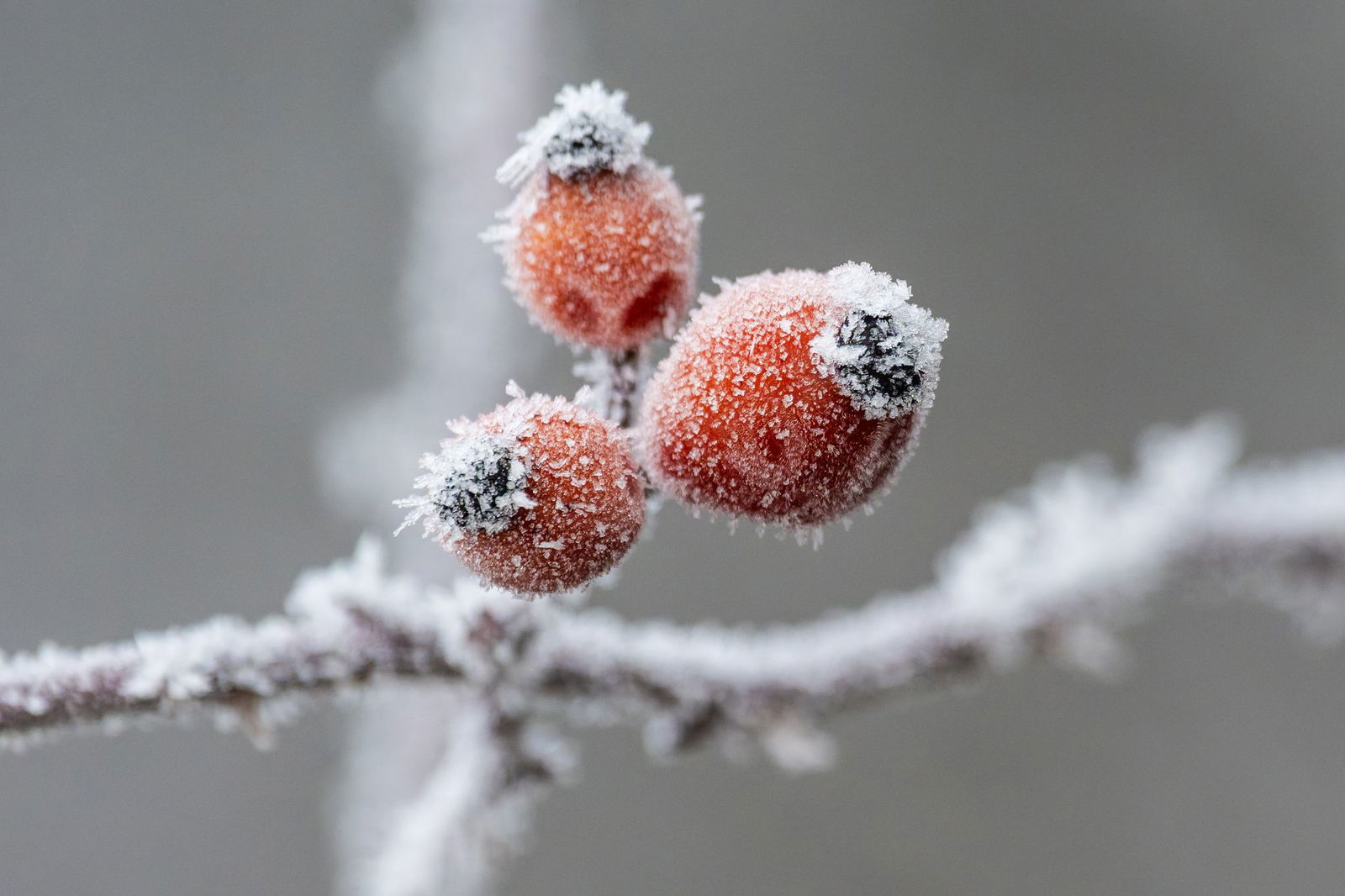 Gerade nachts wird es bitterkalt in Baden-Württemberg. 