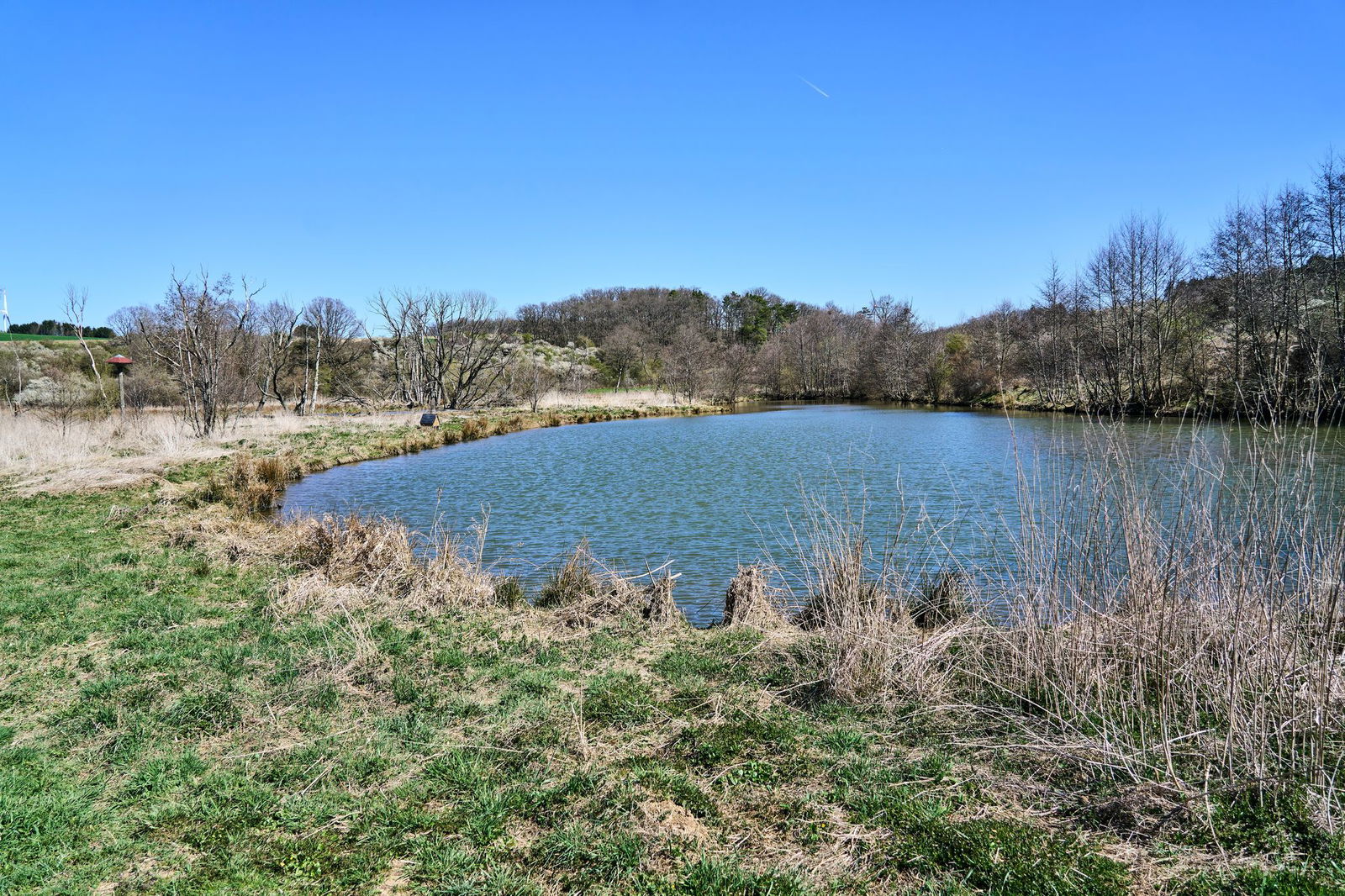 Die Pflege von Biotopen ist eine Aufgabe, um die sich Naturschutzstationen kümmern sollen. (Archivfoto)