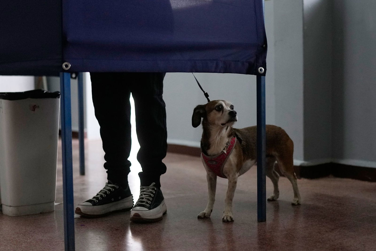 Rund 15,8 Millionen Menschen waren zur Wahl aufgerufen.