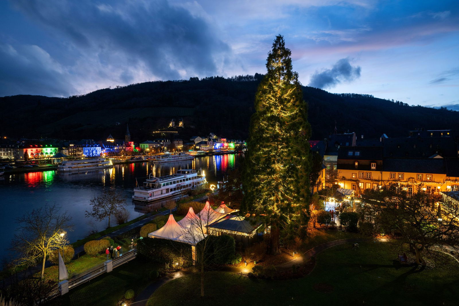 In Traben-Trarbach steht ein besonderer Weihnachtsbaum.