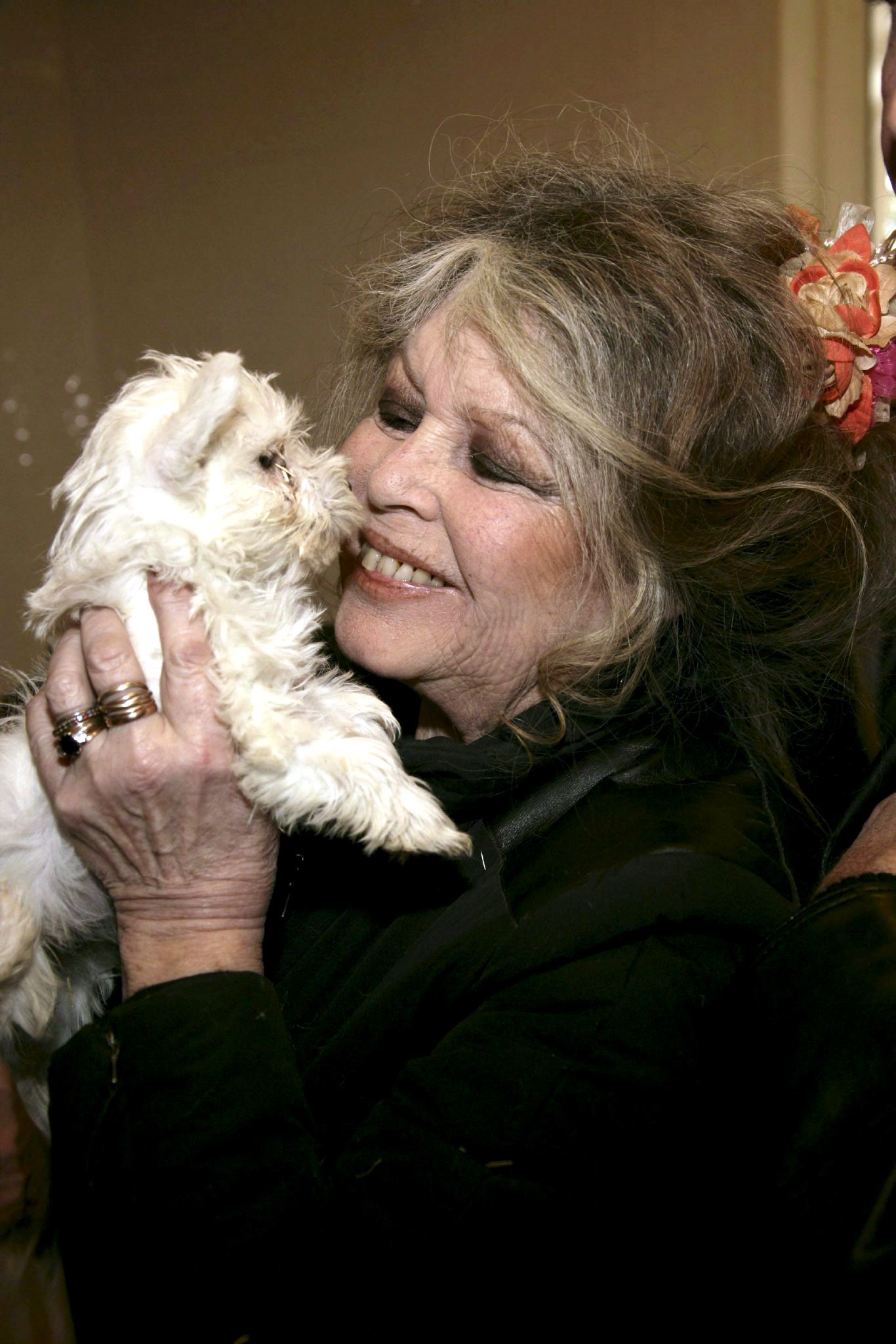 Mit rund 40 Jahren zog Bardot sich abrupt aus dem Filmgeschäft zurück. 