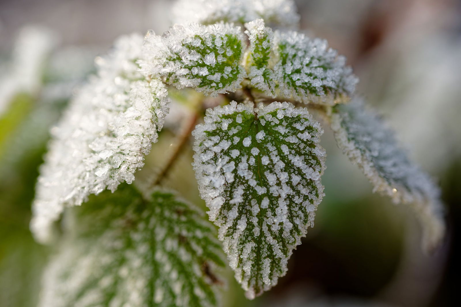 Es bleibt kalt in Baden-Württemberg.