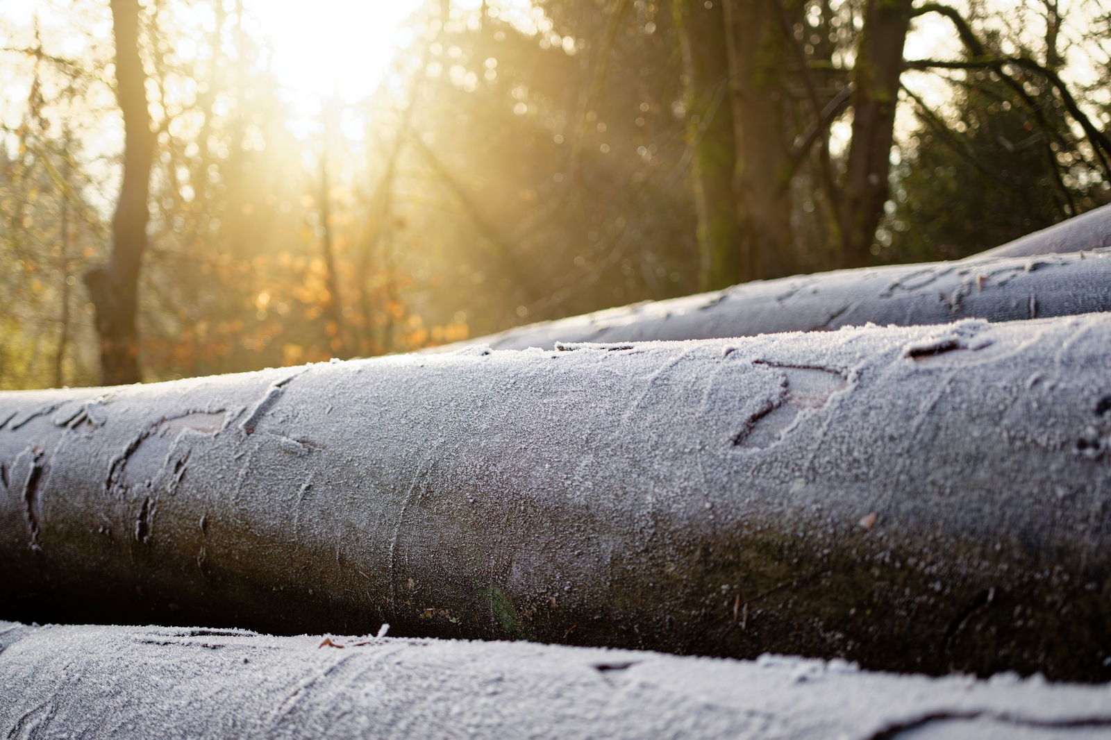 Die Menschen im Land können sich auf ein wenig Sonne einstellen.