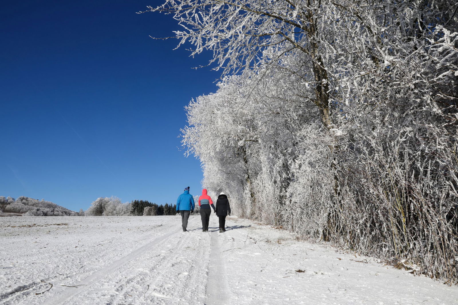 Ein Wintersparziergang zum Start ins neue Jahr ist drin. 