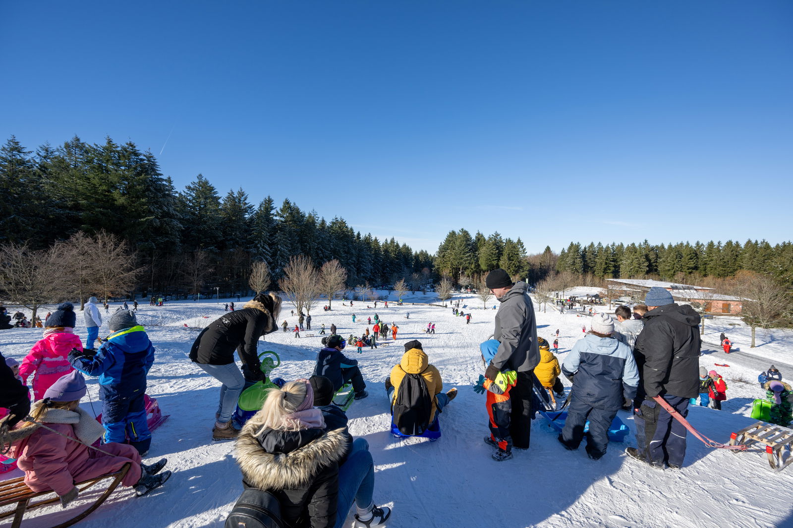 Rodeln auf dem Erbeskopf