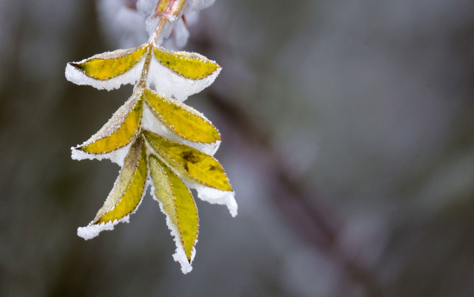 Die Temperaturen bleiben eisig unter 0 Grad. (Archivbild)