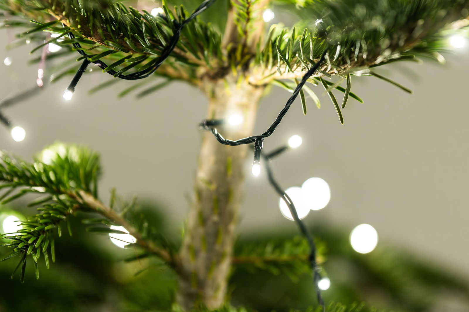 Von einer Kerze griffen die Flammen auf den Christbaum über. (Symbolbild)