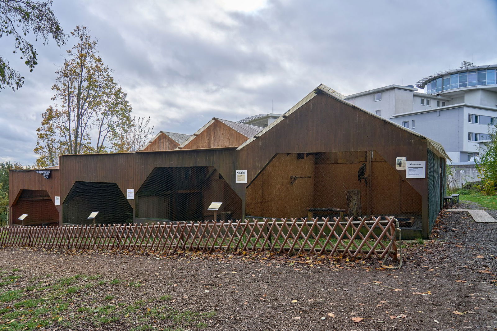 Die Falknerei soll bald wieder für Besucher öffnen. (Archivbild)