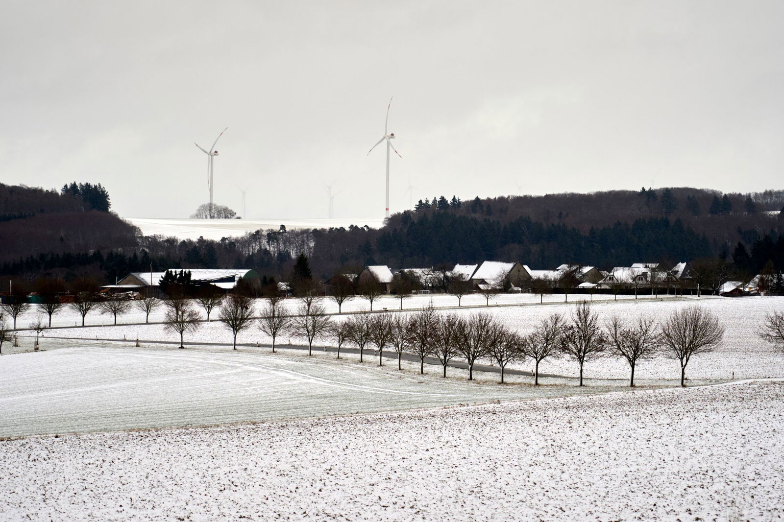 Das Wetter in Rheinland-Pfalz und im Saarland bleibt winterlich. (Archivbild)