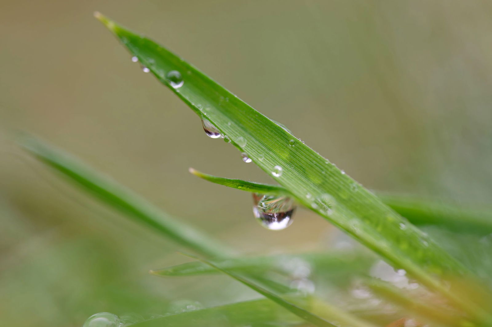 Die Menschen in Baden-Württemberg können sich auf wechselhaftes Wetter einstellen.
