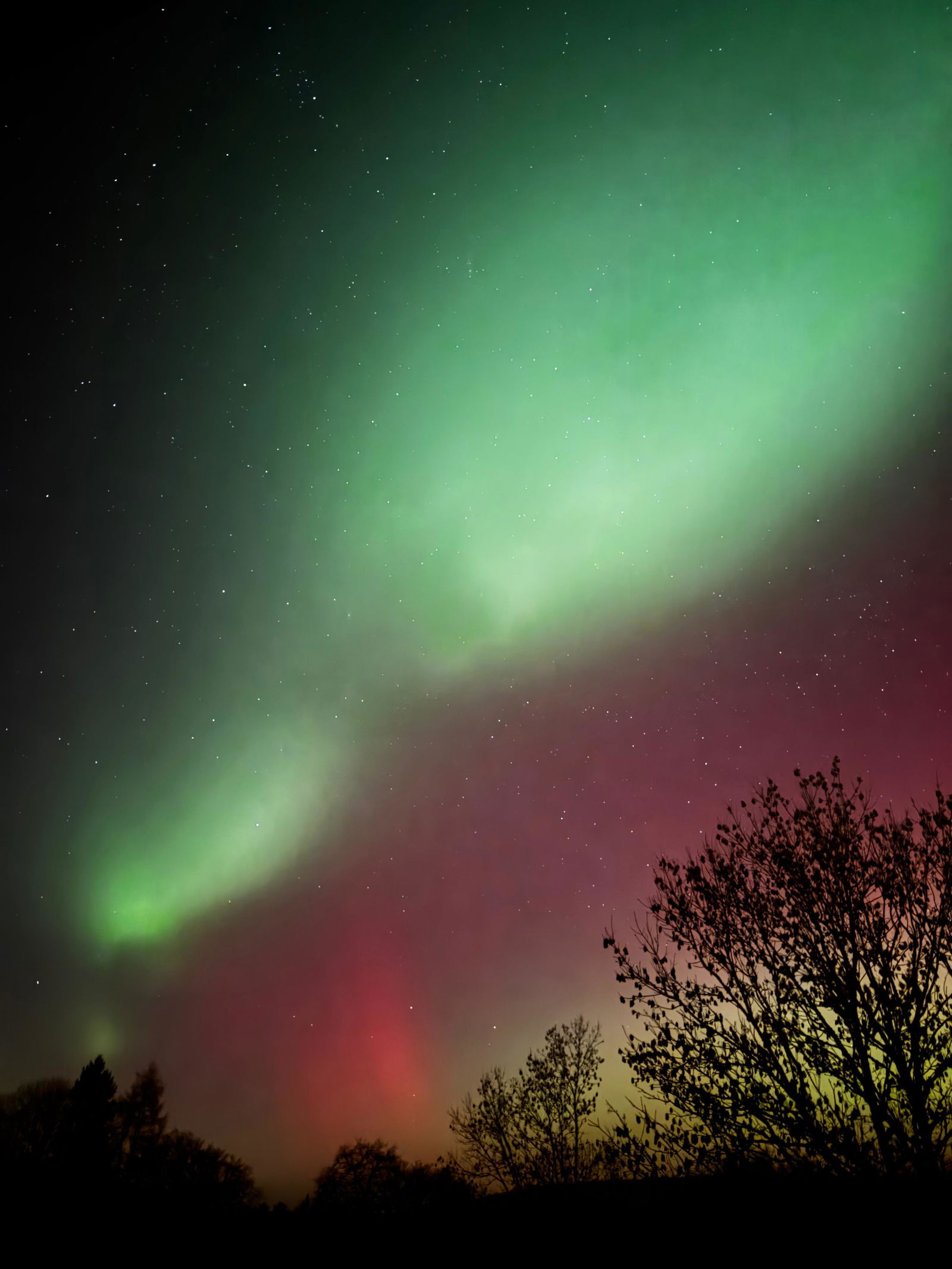 Polarlichter am 19. Januar 2026 über RLP