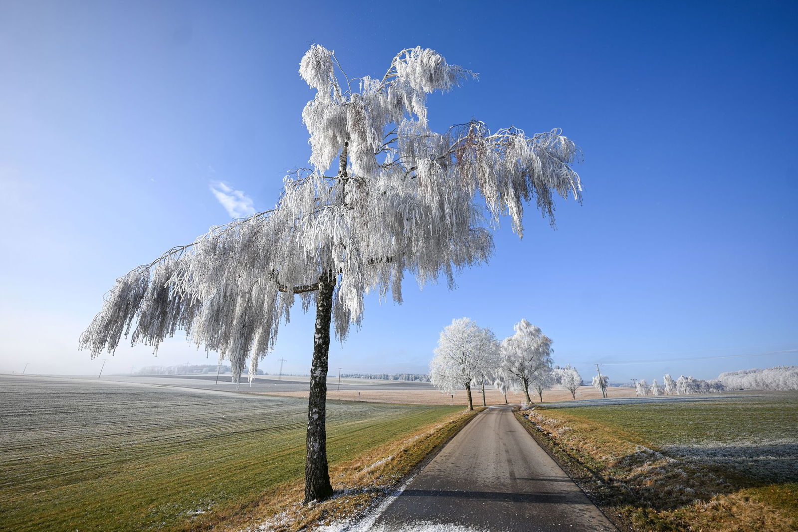 Vor allem in den höheren Lagen des Südwestens wird es in den kommenden Tagen freundlich. (Archivbild)