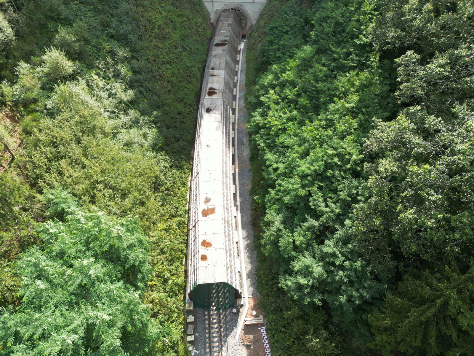 Startschuss für die reaktivierte Hermann-Hesse-Bahn im Nordschwarzwald (Archivbild)