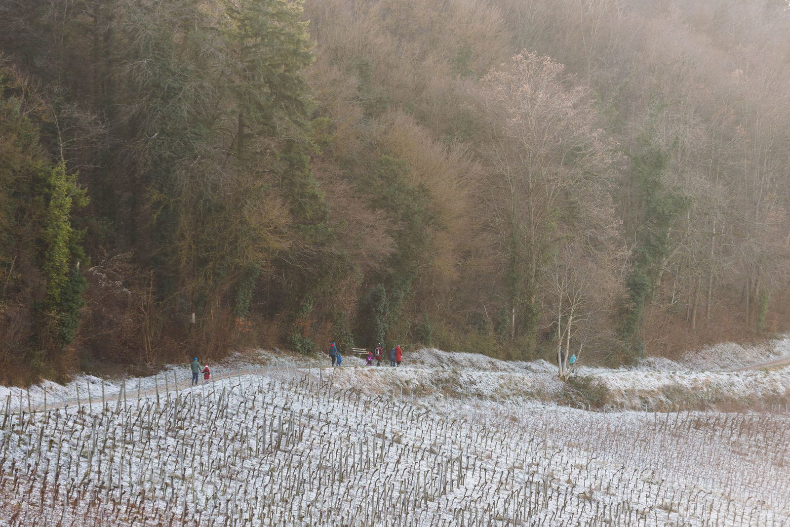 Weiße Flocken, kräftiger Wind, kalte Nächte: Baden-Württemberg bekommt einen echten Wintermix.