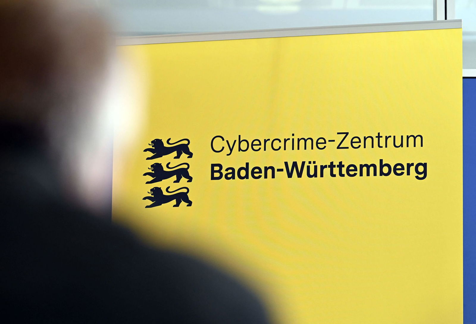 Missbrauchstäter im Netz beschäftigen Cybercrime-Zentrum. (Archivbild)