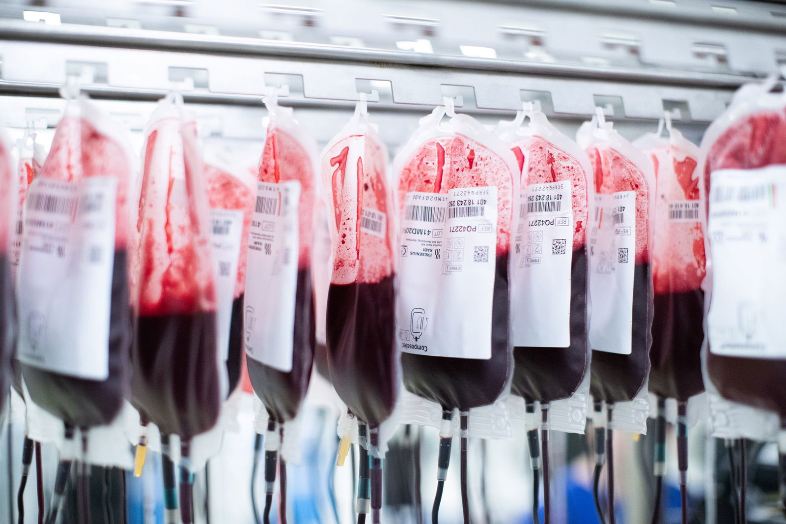 Vor rund drei Wochen rief das DRK den bundesweiten Notstand für die Blutbanken aus. Eine Welle an Spenden hat vorerst wieder für mehr Blutreserven in Rheinland-Pfalz gesorgt. Doch es braucht mehr regelmäßige Spender, sonst droht bald erneut ein Engpass. …