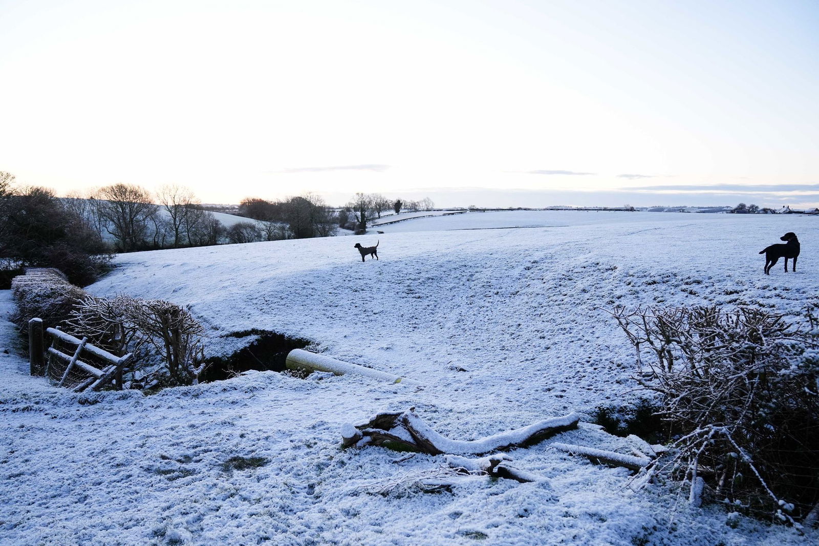 Weiße Flocken, kräftiger Wind, kalte Nächte: Baden-Württemberg bekommt einen echten Wintermix.