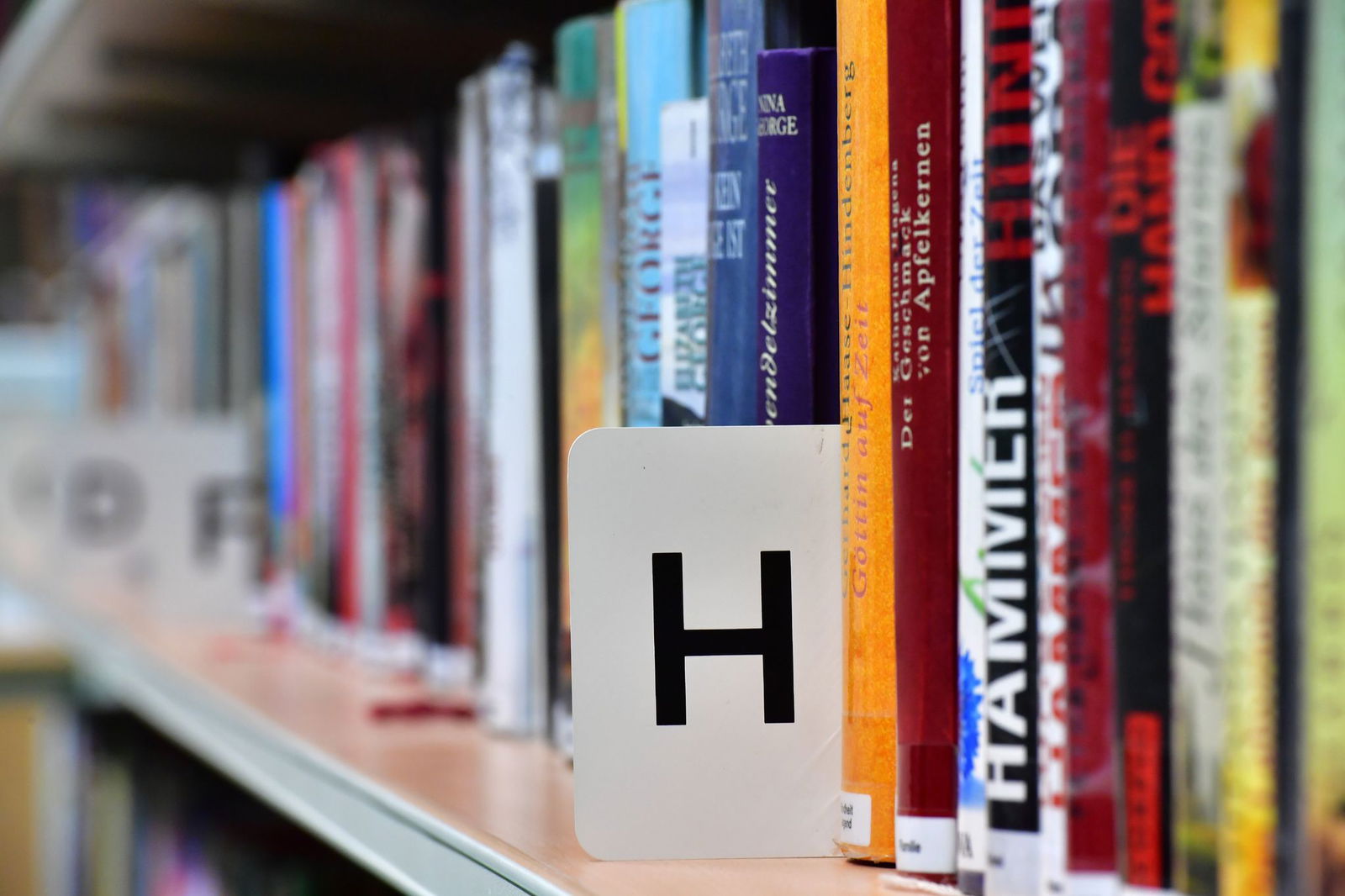 2022 gab es in Rheinland-Pfalz dem Deutschen Bibliotheksverband zufolge mehr als 1.500 Bibliotheken. (Symbolbild)