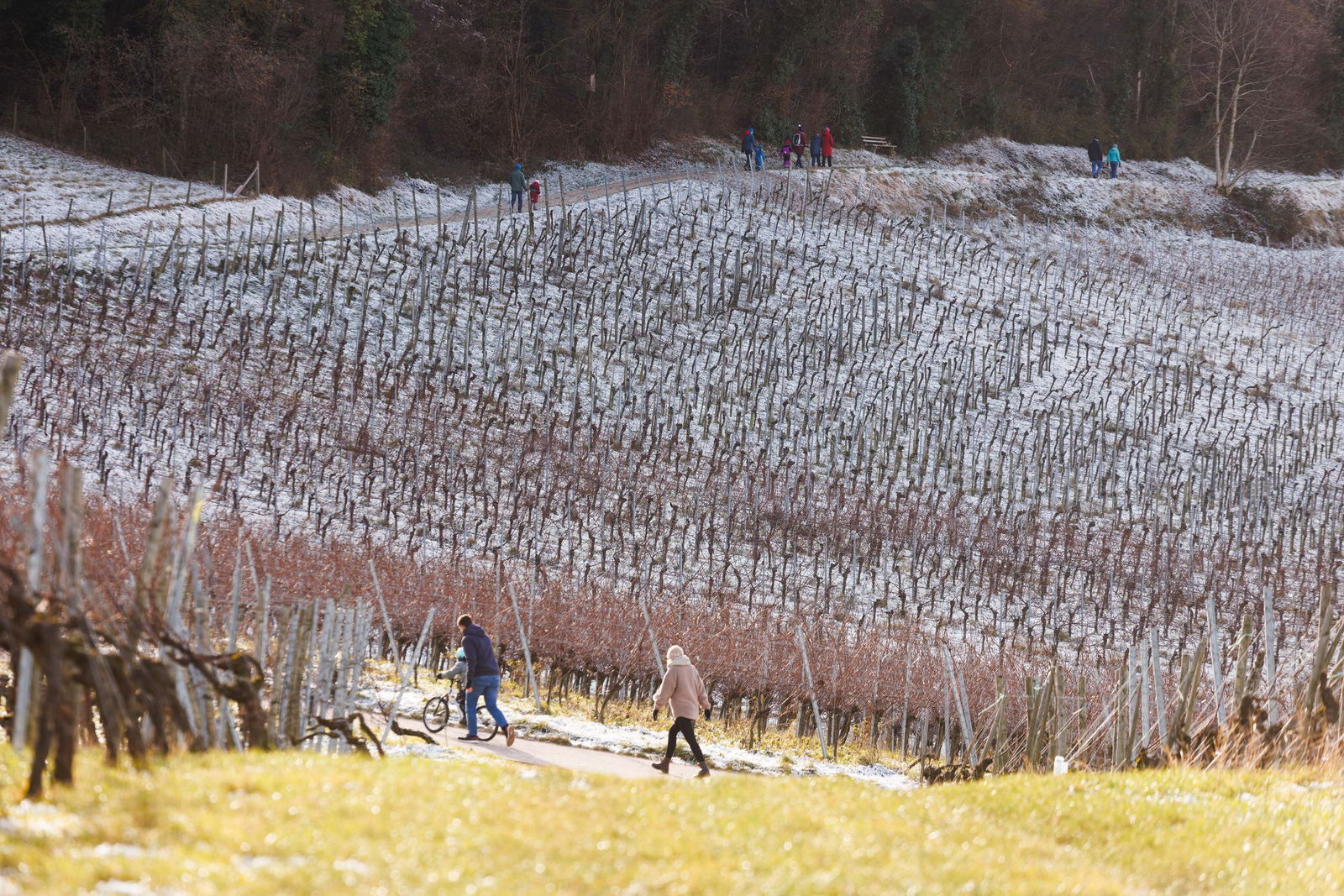 Für das Wochenende ist im Südwesten Bibberkälte vorhergesagt. 