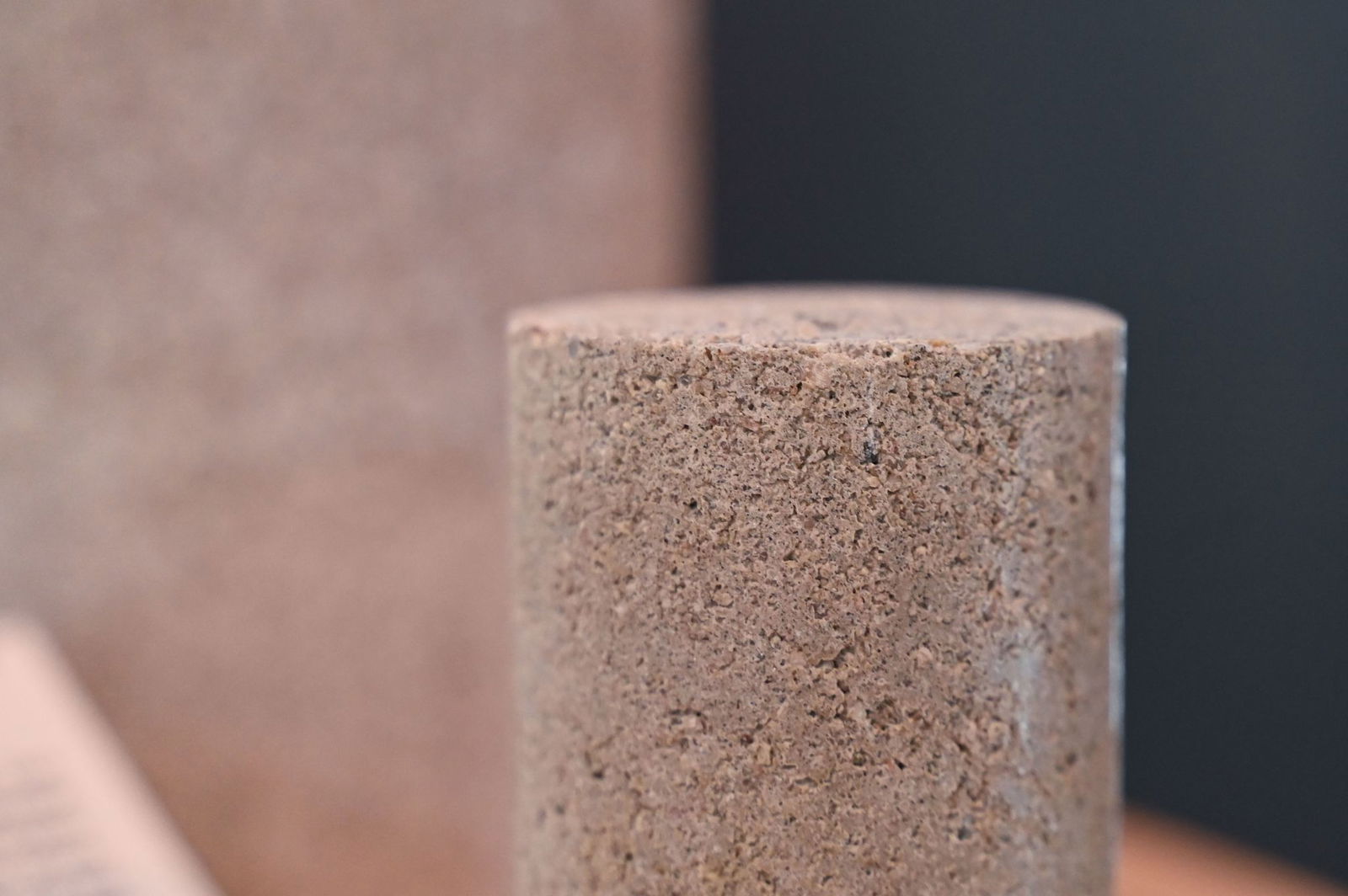 Die Forscher arbeiten mit einem Biomineralisierung-Verfahren.