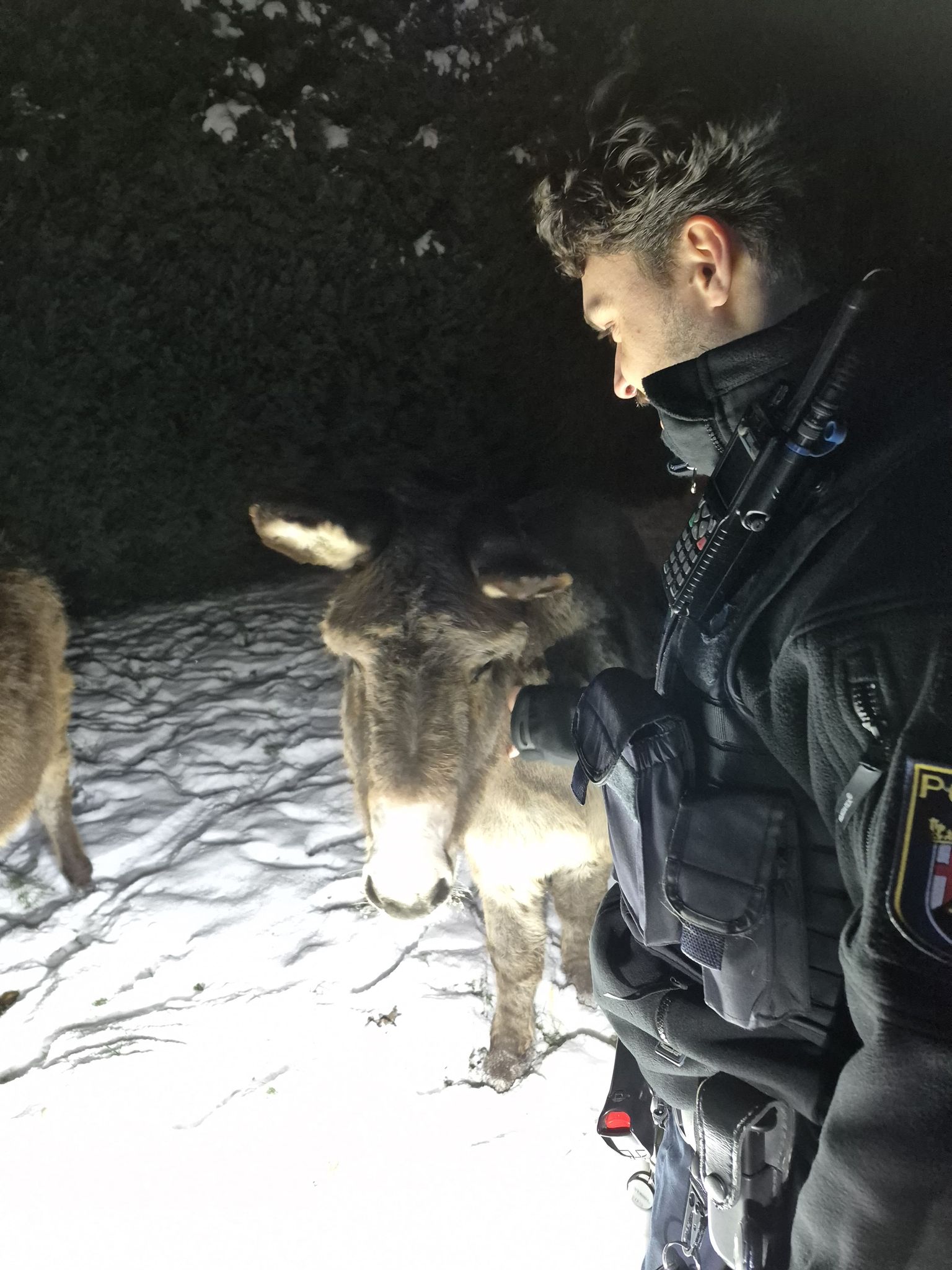 Ungewöhnlicher Einsatz für die Polizei mitten in der Nacht.