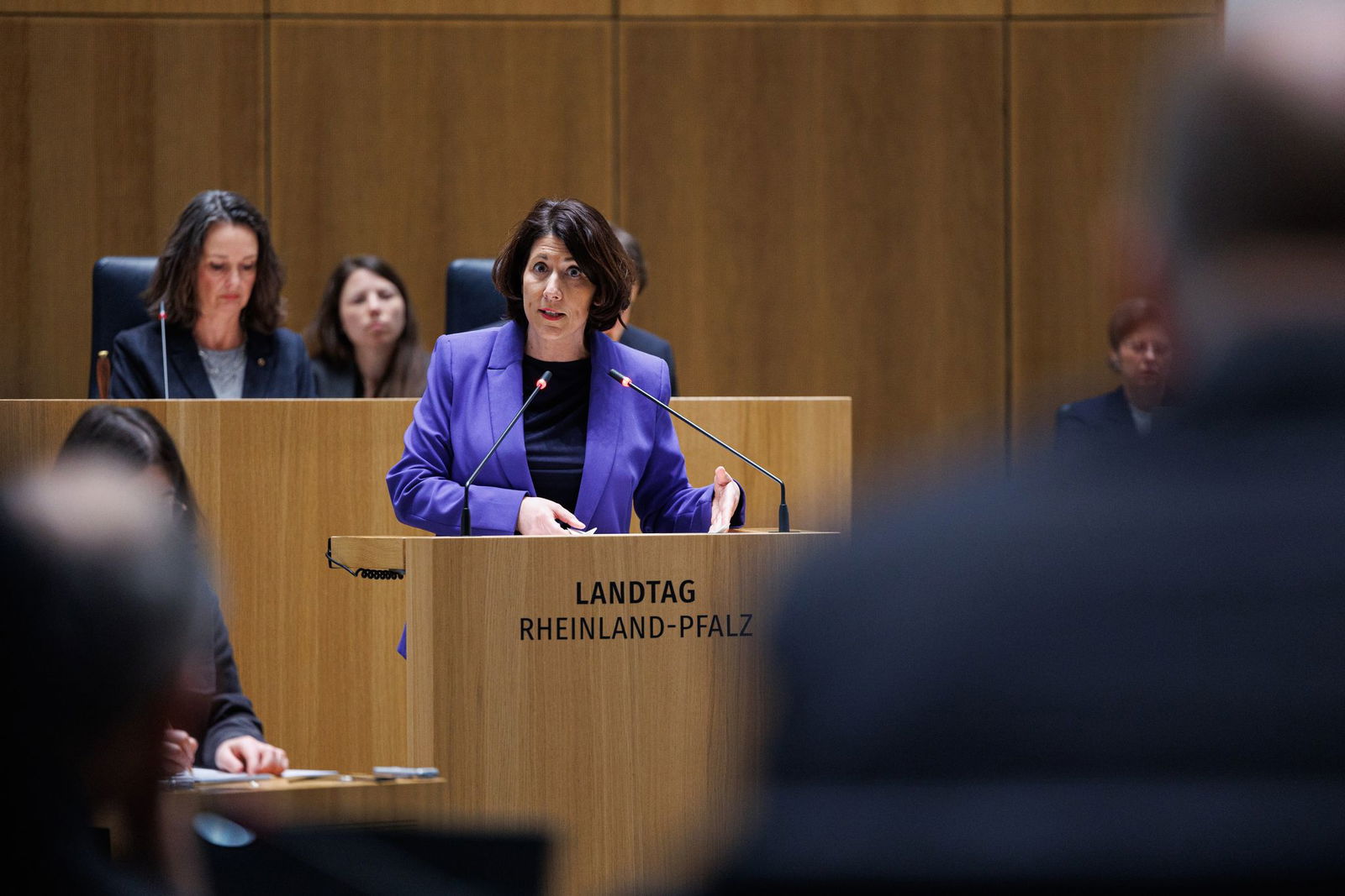 Die rheinland-pfälzische Wirtschaftsministerin Daniela Schmitt (FDP) wirbt für mehr Tempo bei der Anerkennung von Abschlüssen aus dem Ausland.  