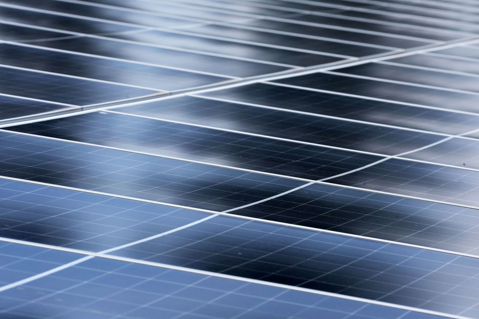 Aus einem Solarpark wurden wertvolle Kabel gestohlen. (Symbolbild)