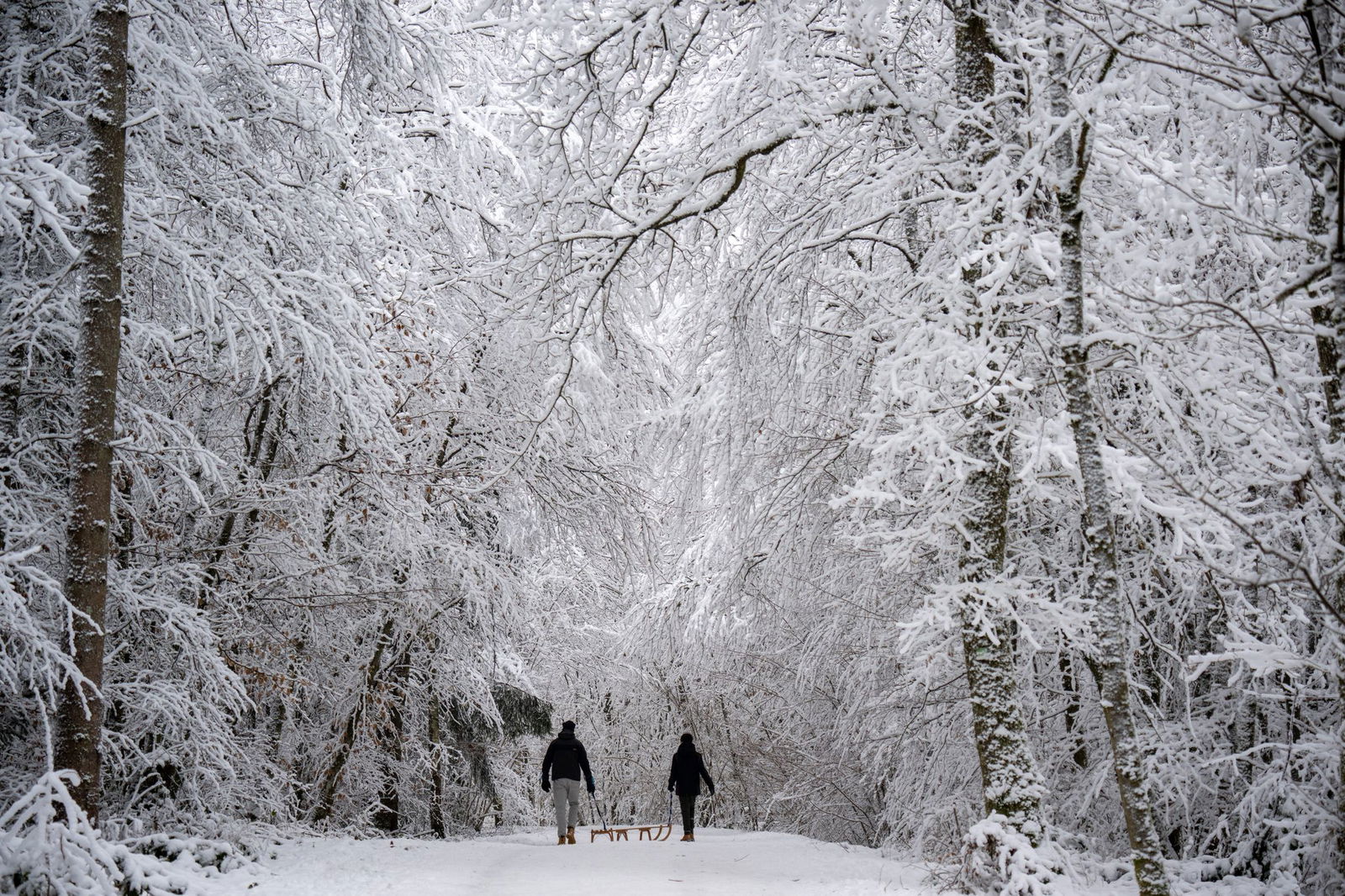 Einige Schulbusse konnten am Montagmorgen wegen des Winterwetters nicht fahren.