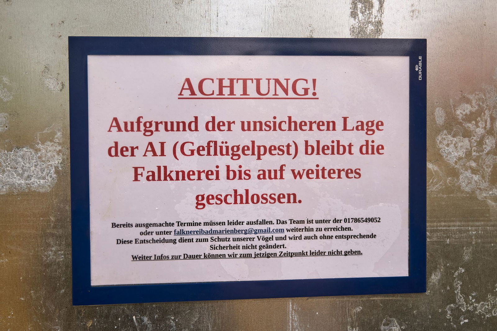 Die Vogelgrippe hat auch Auswirkungen auf Zoos und andere Einrichtungen. (Archivbild)