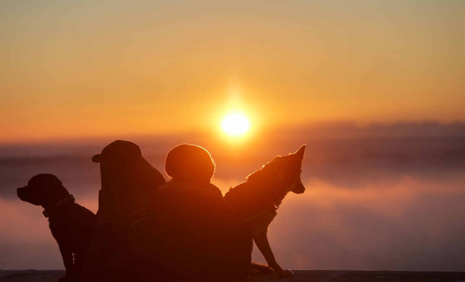 In den höheren Lagen Baden-Württembergs scheint am Sonntag oft die Sonne. (Archivbild)