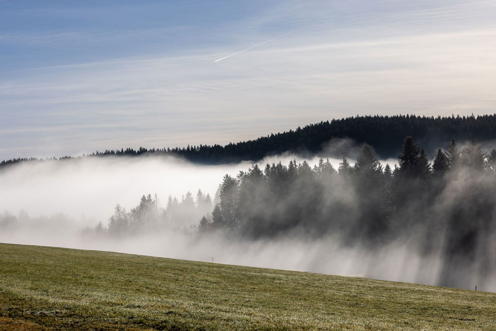 Während es im Tal eher trüb bleiben dürfte, zeigt sich in den Höhenlagen von Schwarzwald und Schwäbischer Alb laut DWD am Wochenende häufiger die Sonne. (Archivbild)