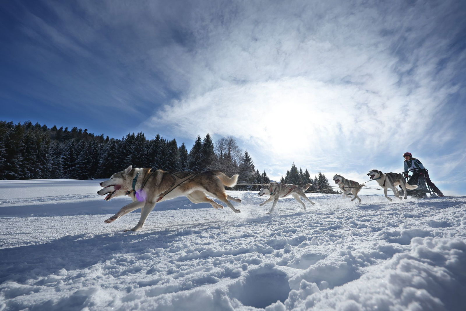 Teams aus etlichen Ländern in Europas gingen im bayerisch-österreichischen Grenzgebiet an den Start.