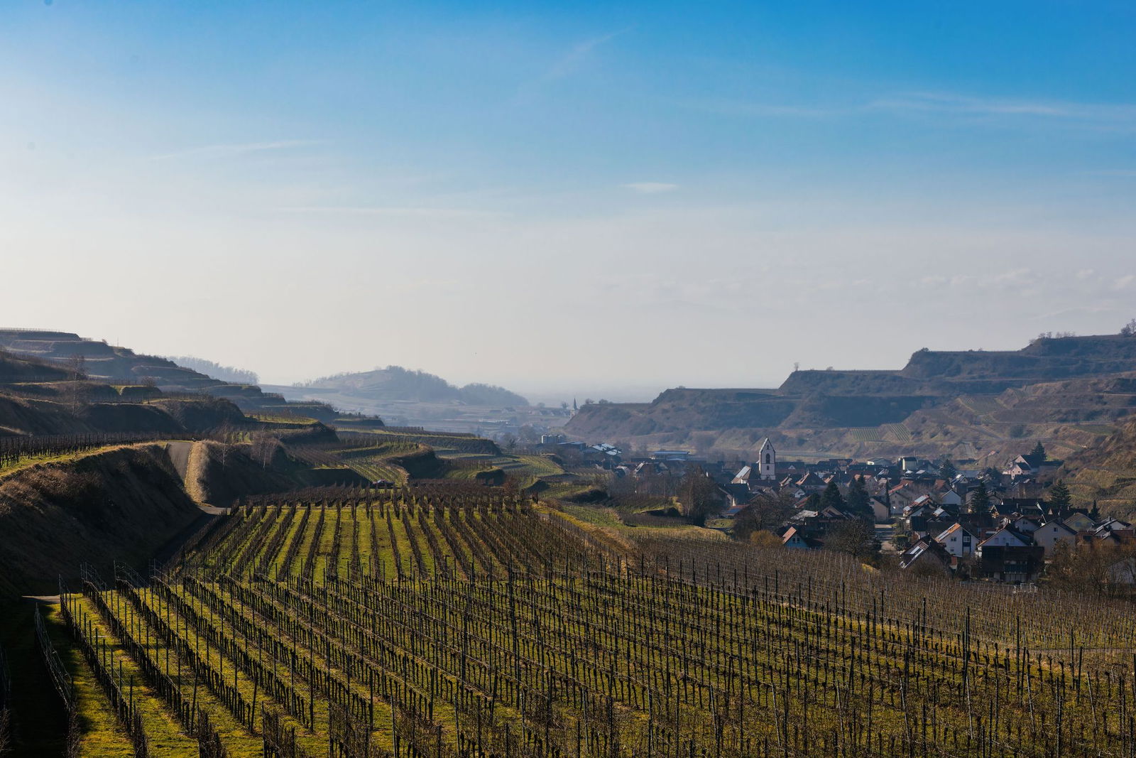 Entlang des Rheins, wie hier am Kaiserstuhl, wird es Samstag nahezu frühlingshaft warm.