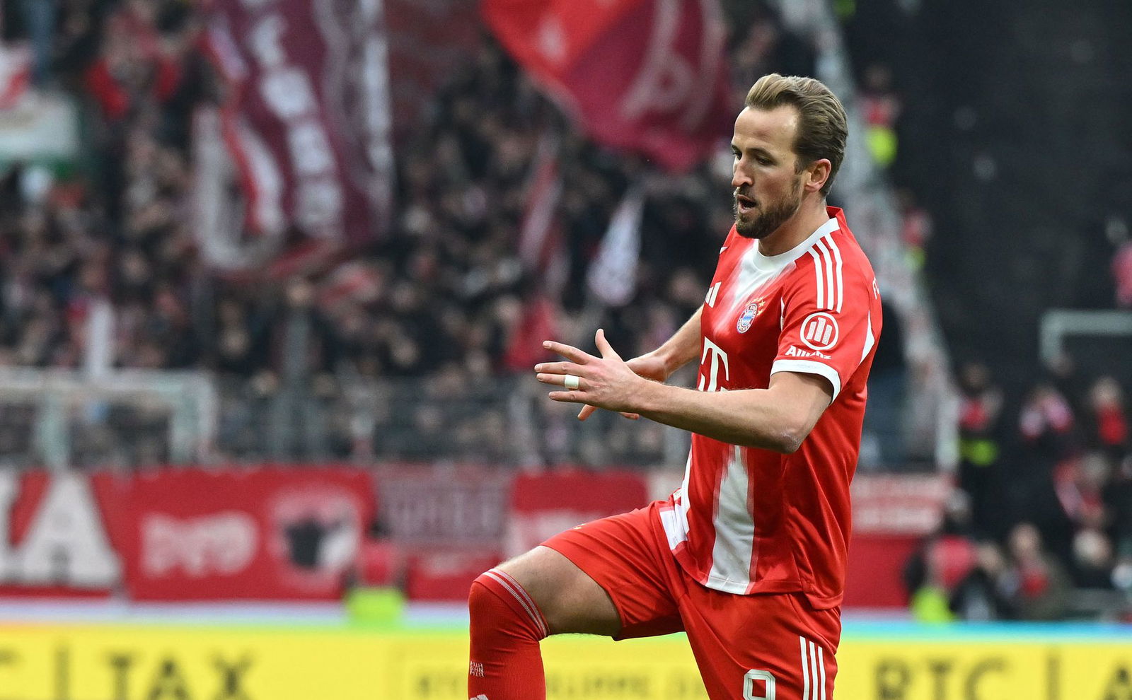 Zeigt in Bremen wieder seine Torjäger-Qualitäten: Harry Kane.